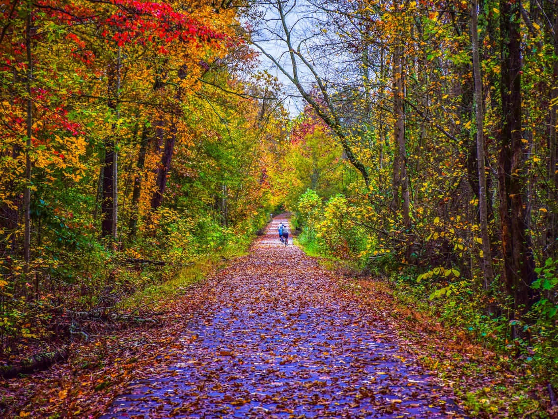 Fall Road 桌布 壁紙 — 一位孤獨的步行者沿著一條鋪滿落葉的森林小徑漫步，兩旁是色彩繽紛的秋樹，天空柔和。