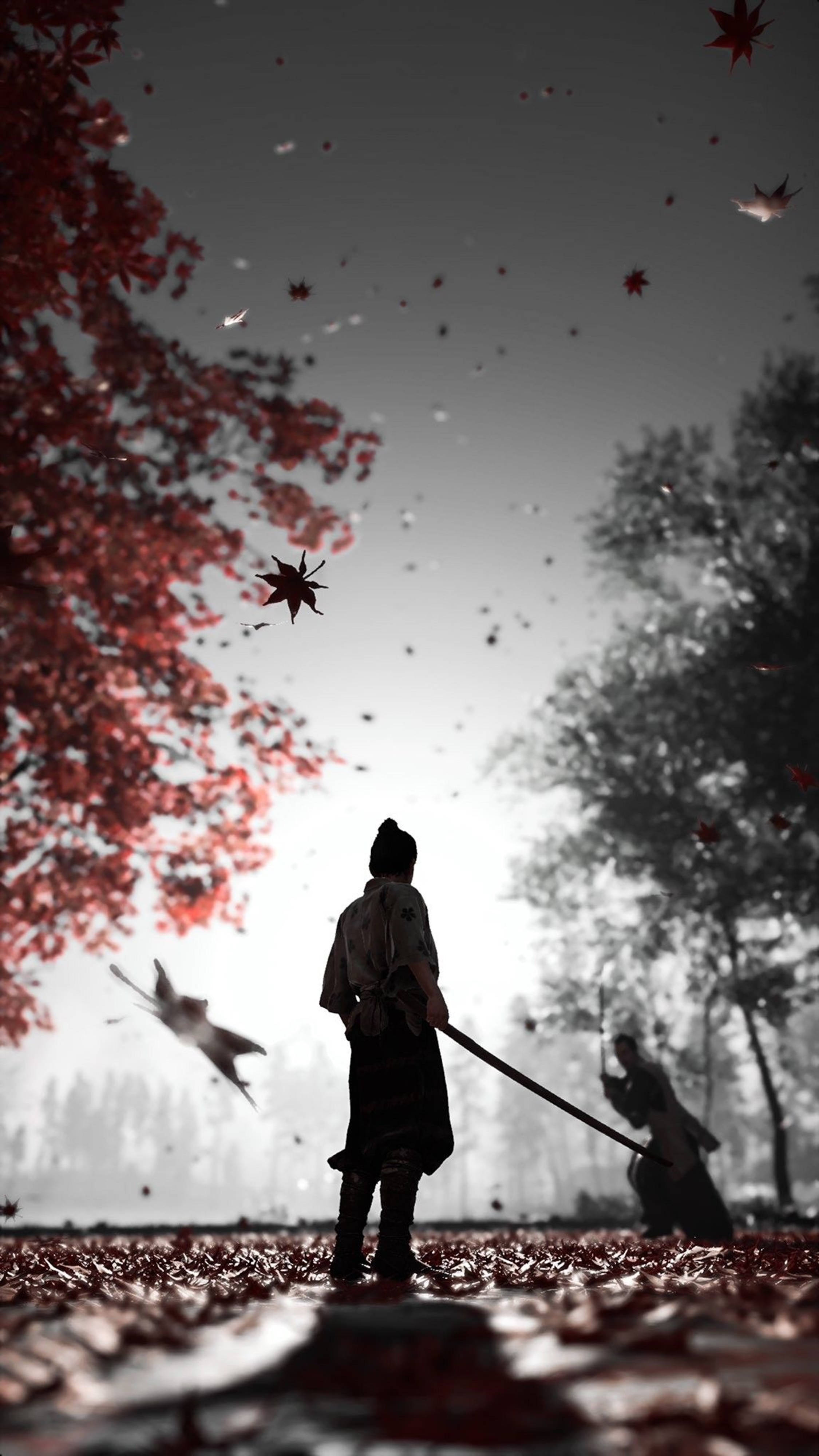 武士戰士站在霧氣瀰漫的森林中，周圍是飄落的紅楓葉。 — 電玩遊戲 GIF 壁紙