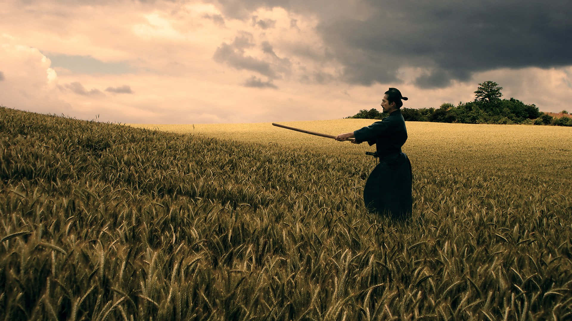 Samurai Movies 桌布 壁紙 — 一位孤獨的武士站在金色麥田裡，在戲劇性的多雲天空下，手持長劍。