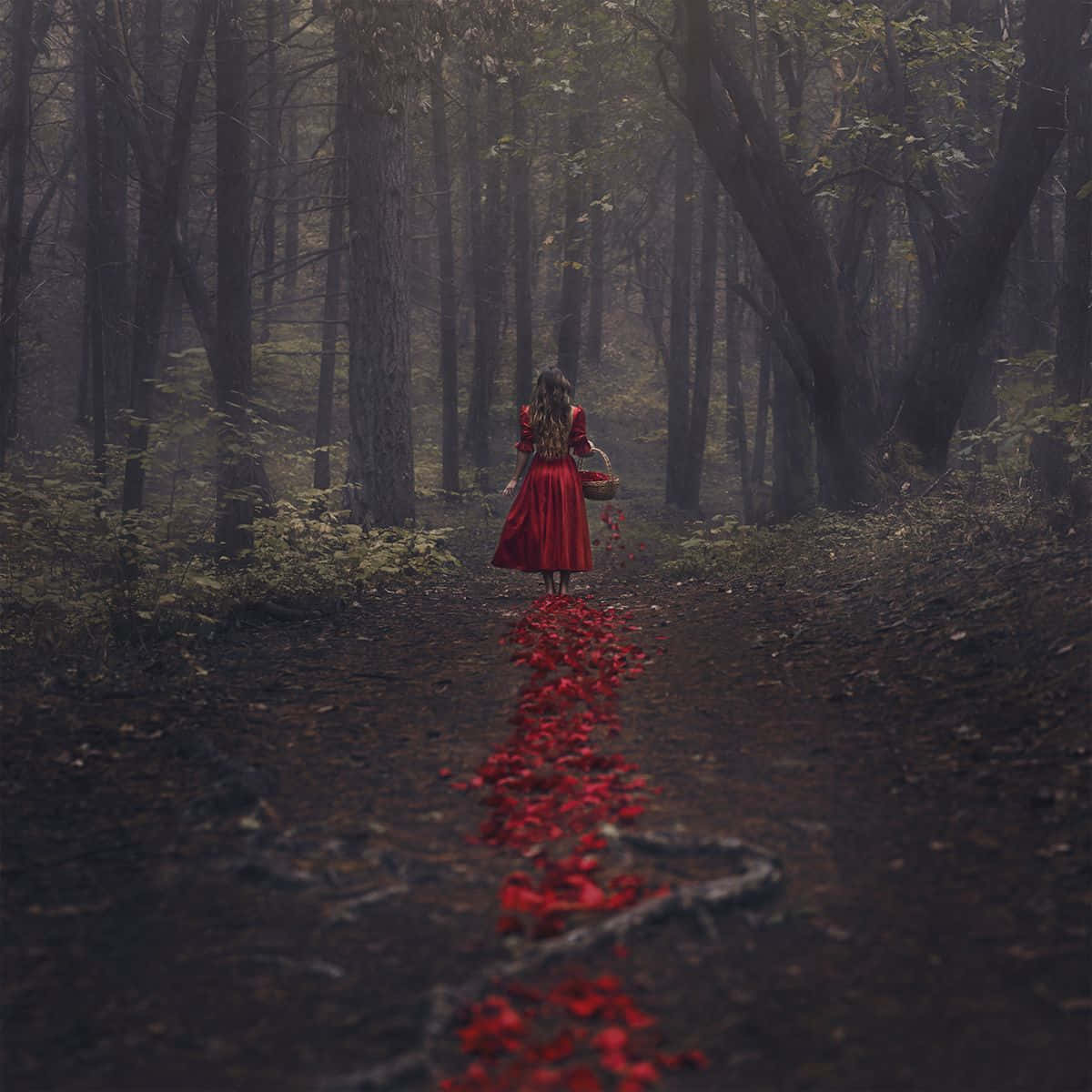 Romanticism 桌布 壁紙 — 一位孤獨的紅裙女子沿著霧氣瀰漫的森林小徑行走，身後拖曳著紅色花瓣。