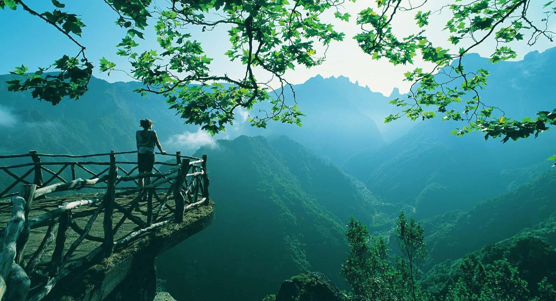 Breathtaking 桌布 壁紙 — 一位孤獨的遠足者站在一個被樹枝環繞的木製觀景台上，凝視著晴朗藍天下霧氣瀰漫的綠色山谷。
