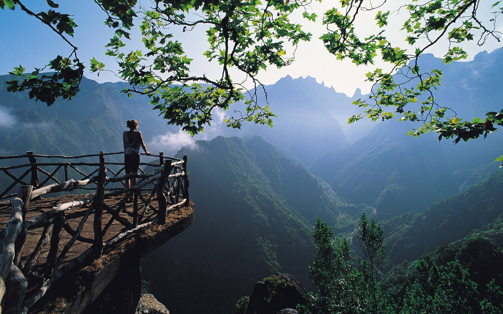 Beautiful Nature 桌布 壁紙 — 一位孤獨的遠足者站在木製懸崖平台上，被樹葉茂密的樹枝環繞，俯瞰著沐浴在明亮陽光下的霧氣繚繞的山谷。