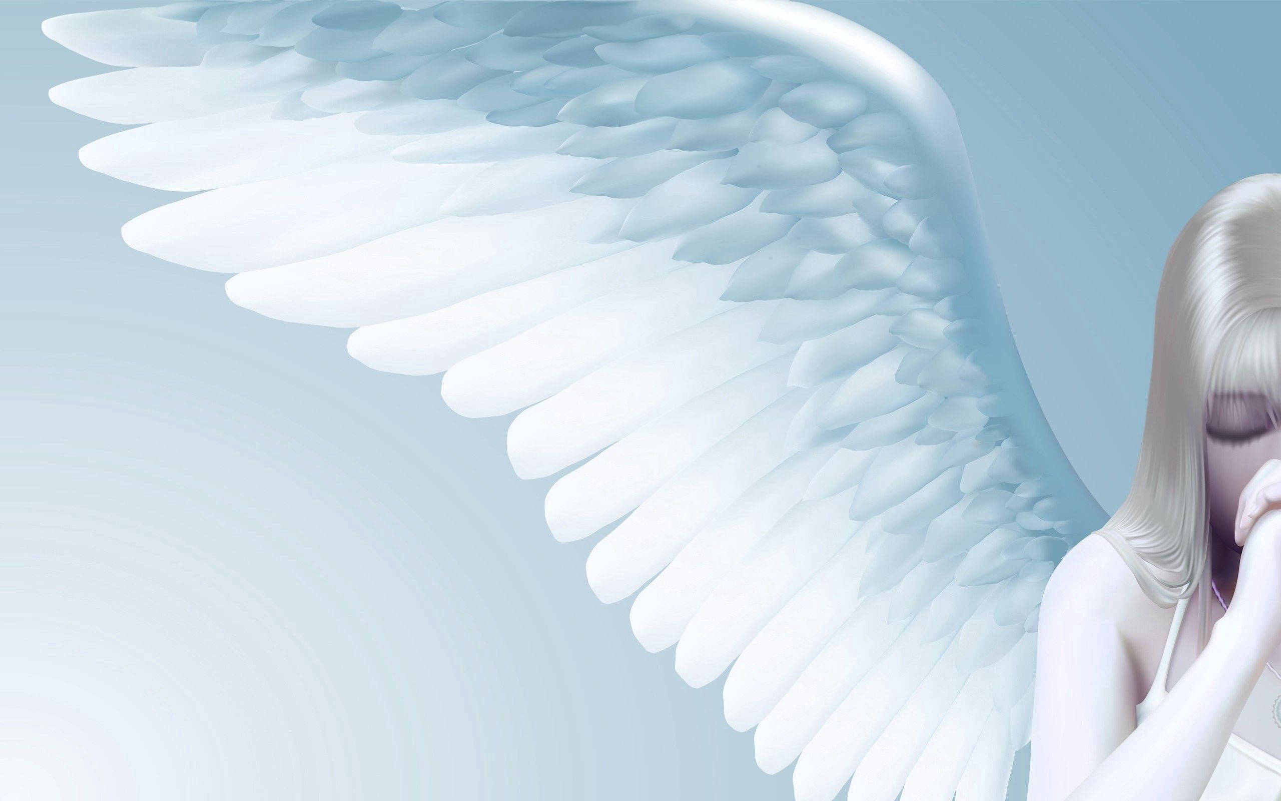 angels 桌布 壁紙 — 一位寧靜的天使，擁有巨大的白色翅膀和閉上的眼睛，在柔和的藍色漸變背景上安詳地休息。