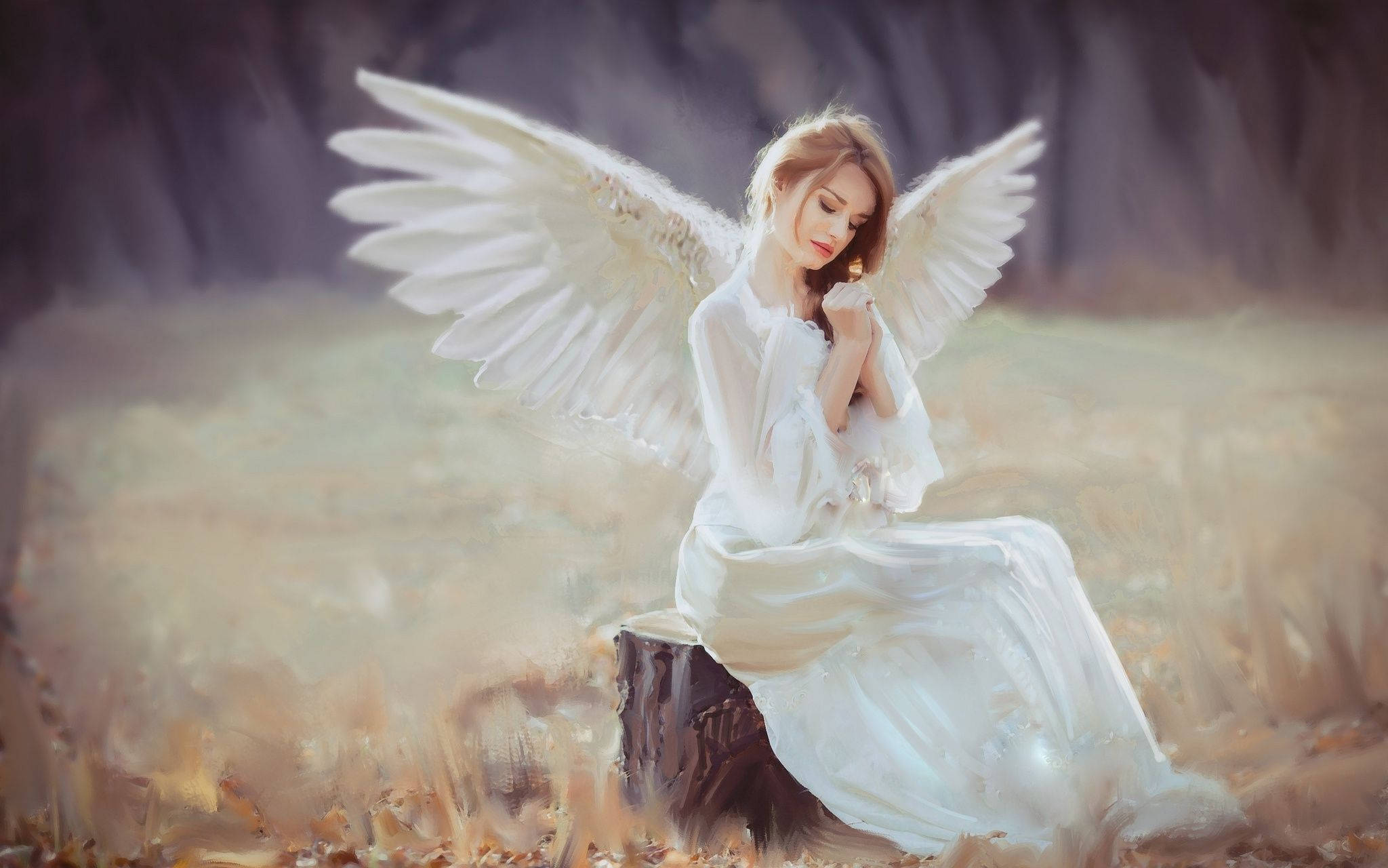 angels 桌布 壁紙 — 一位寧靜的天使，白色翅膀，優雅地坐在金色秋林的樹樁上，雙手合十，靜默沉思。
