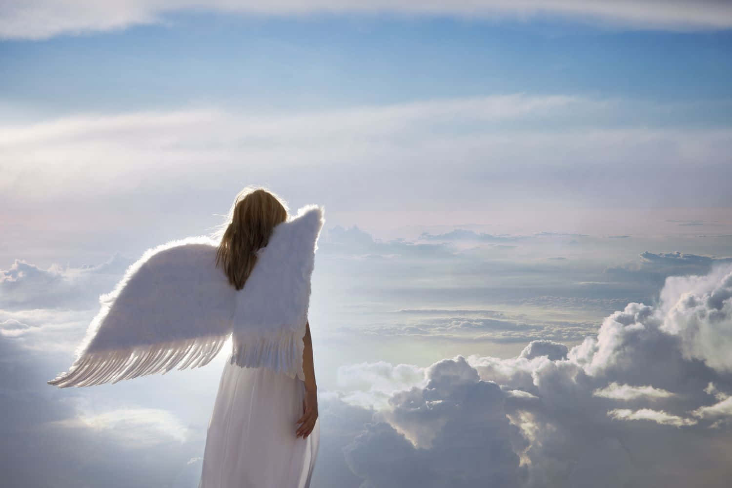 Wings 桌布 壁紙 — 一位寧靜的天使，白色翅膀，站在雲端上，俯瞰日出時廣闊的天空。