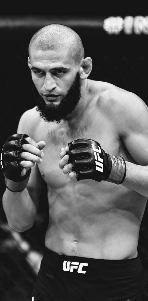 UFC 桌布 壁紙 — 一位專注的UFC拳手，留著鬍鬚，戴著手套，在黑白照片中凝視著。