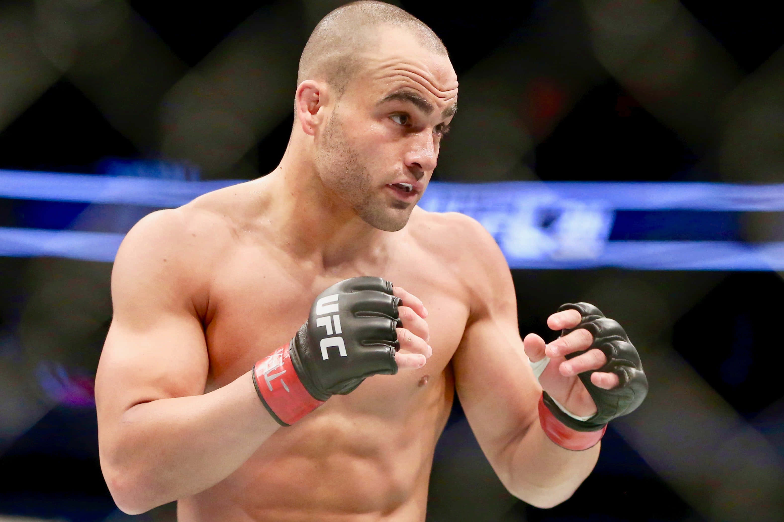 UFC 桌布 壁紙 — 一位專注的UFC拳手戴著黑色手套，在八角籠中準備就緒，眼神凌厲，拳頭緊握。