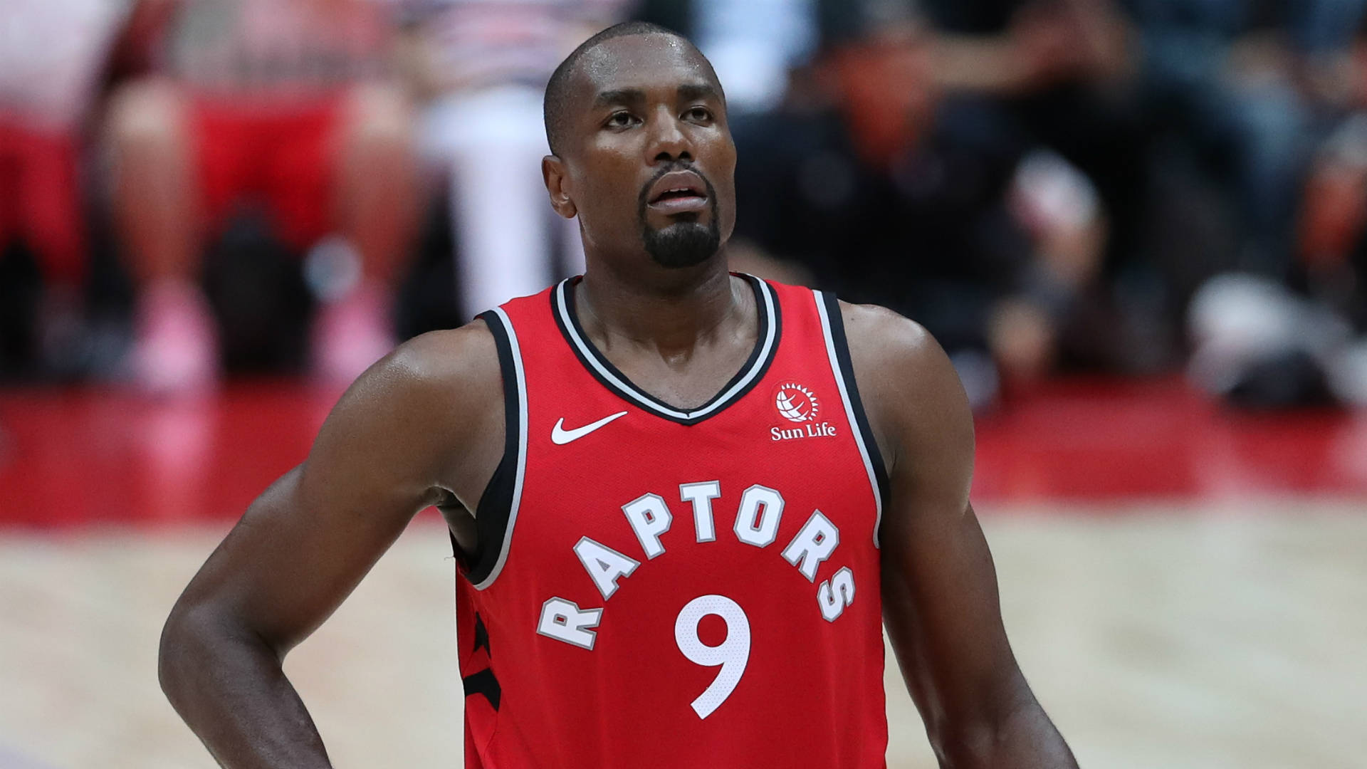 serge ibaka 桌布 壁紙 — 一位專注的多倫多暴龍籃球運動員，身穿紅色9號球衣，站在球場上，目光凌厲。