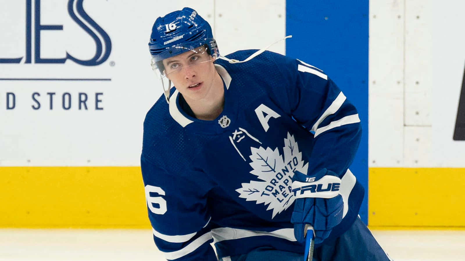 Toronto Maple Leafs 桌布 壁紙 — 一位專注的多倫多楓葉隊冰球運動員穿著藍色球衣在冰上蹲下比賽。