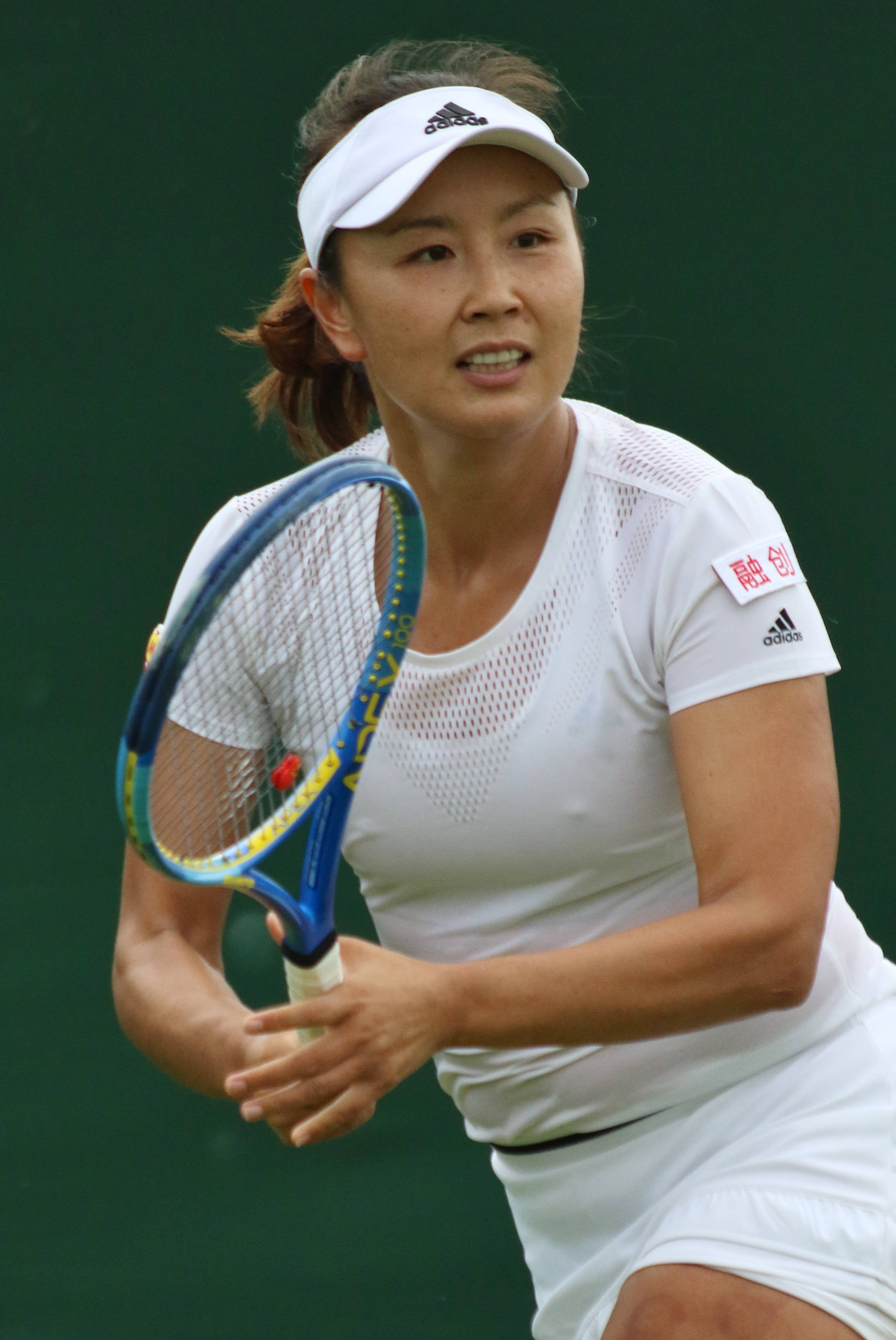Tennis 桌布 壁紙 — 一位專注的女網球運動員穿著白色裝備，在綠色球場背景下揮拍中緊握藍色球拍。