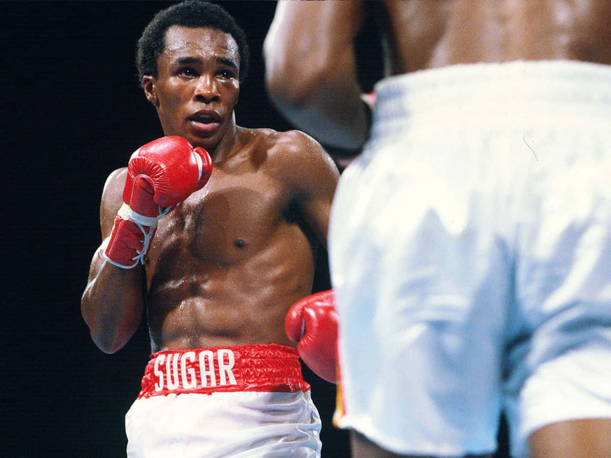 Boxing 桌布 壁紙 — 一位專注的拳擊手，戴著紅色手套和印有「SUGAR」的短褲，在緊張的比賽中凝視著對手。