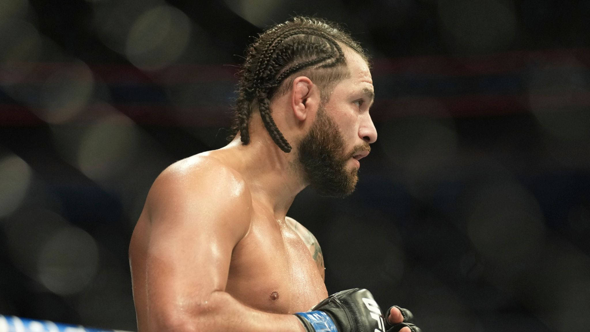 MMA 桌布 壁紙 — 一位專注的混合武術家，編著辮子頭髮和鬍鬚，戴著手套站在搏擊擂台上。