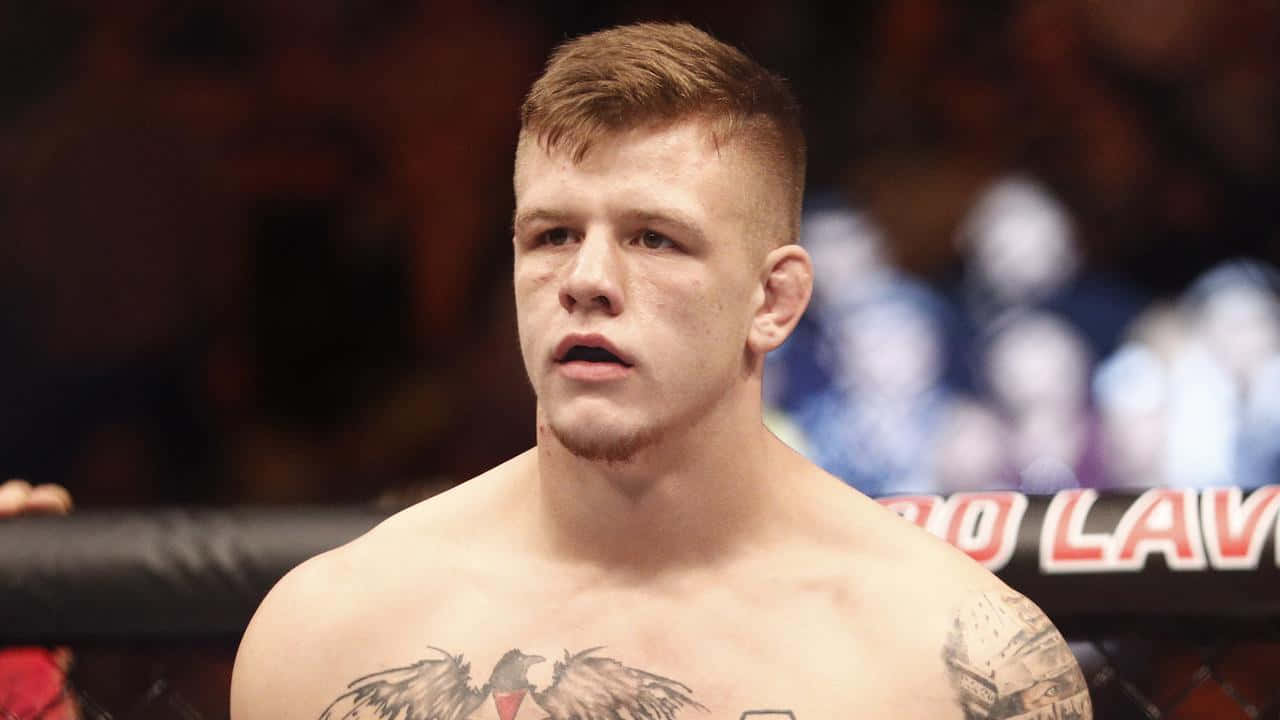 UFC 桌布 壁紙 — 一位專注的混合武術家，身上有刺青，在昏暗的八角籠中凝視著。