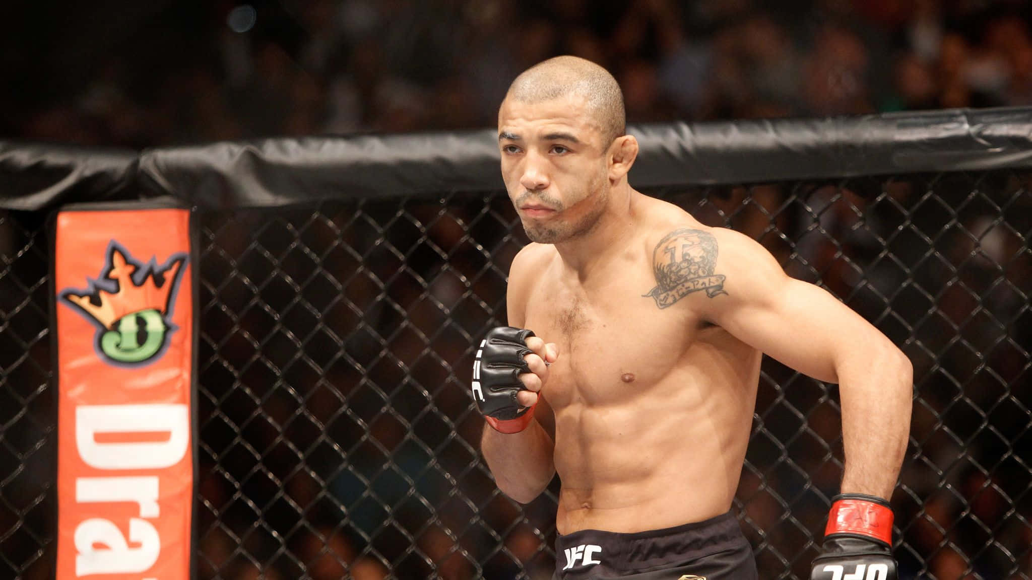 MMA 桌布 壁紙 — 一位專注的混合武術家站在UFC八角籠內，手臂有刺青，戴著紅色手套。