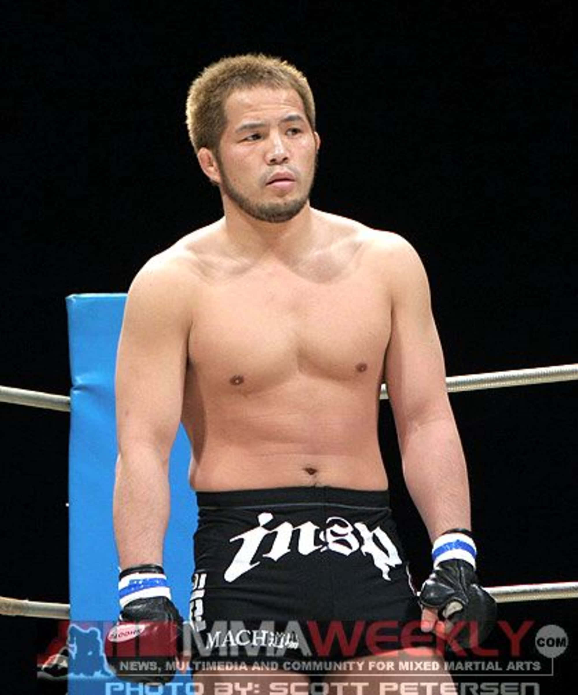 MMA 桌布 壁紙 — 一位專注的混合武術家赤裸上身站在擂台上，穿著黑色短褲和手套，在明亮的場館燈光下。