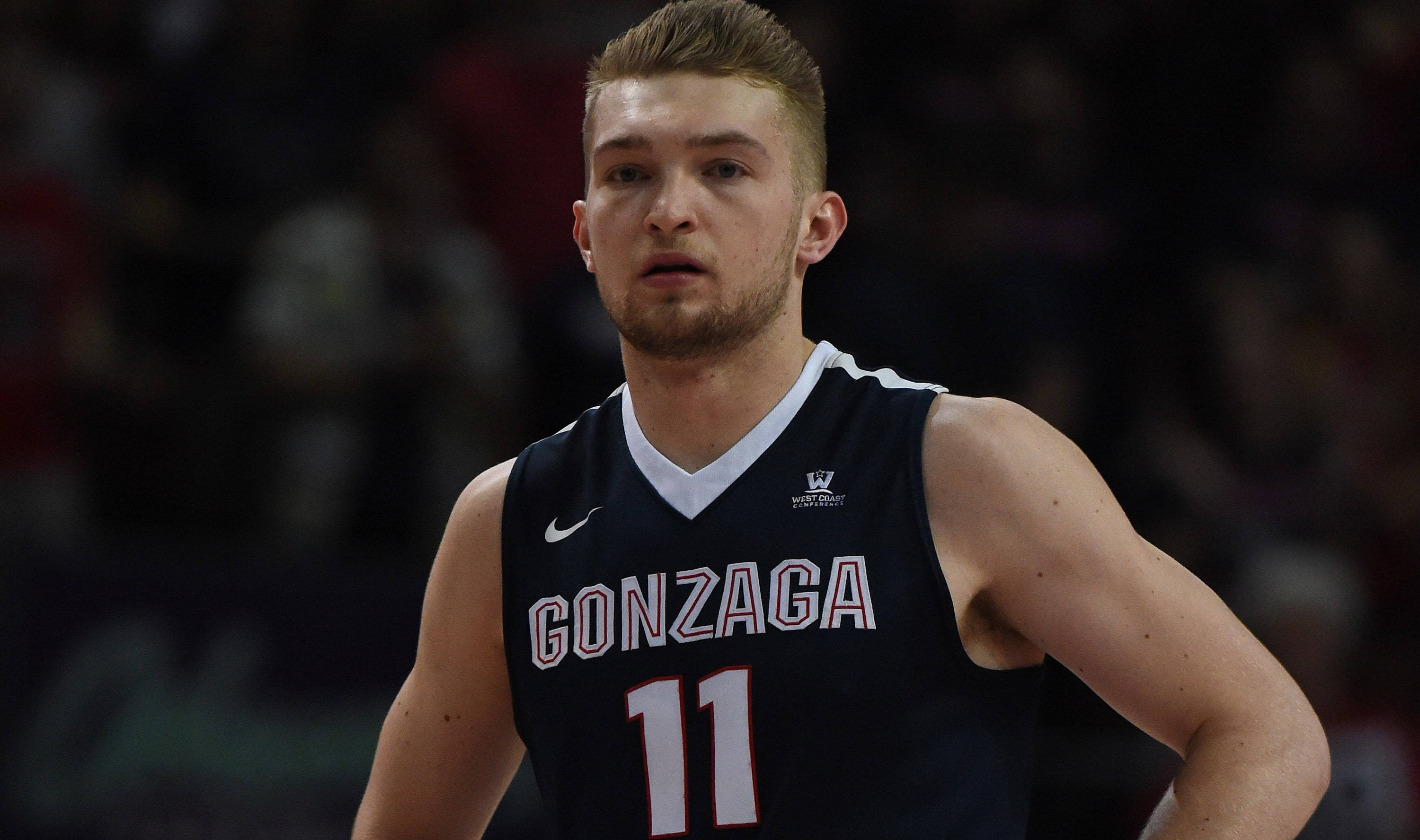 domantas sabonis 桌布 壁紙 — 一位專注的籃球運動員身穿岡薩加大學11號球衣，在室內比賽中準備就緒，身後是模糊的觀眾。