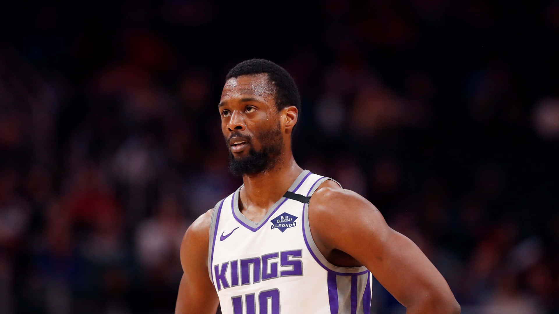 NBA 桌布 壁紙 — 一位專注的籃球運動員身穿白色和紫色的帝王隊球衣，站在球場上，背景是模糊的觀眾。