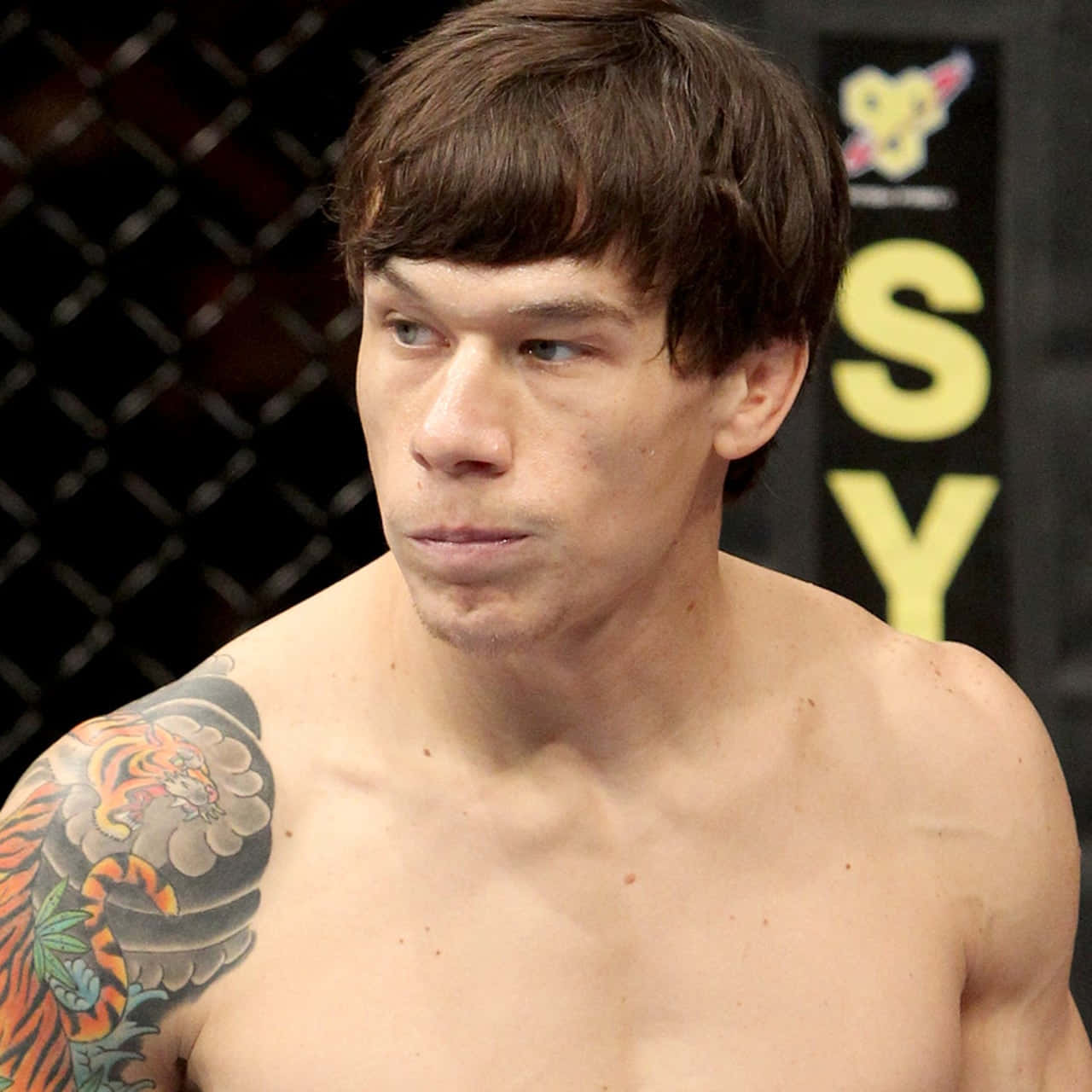 UFC 桌布 壁紙 — 一位專注的綜合格鬥家，身上有老虎刺青，在八角籠內凝視著。