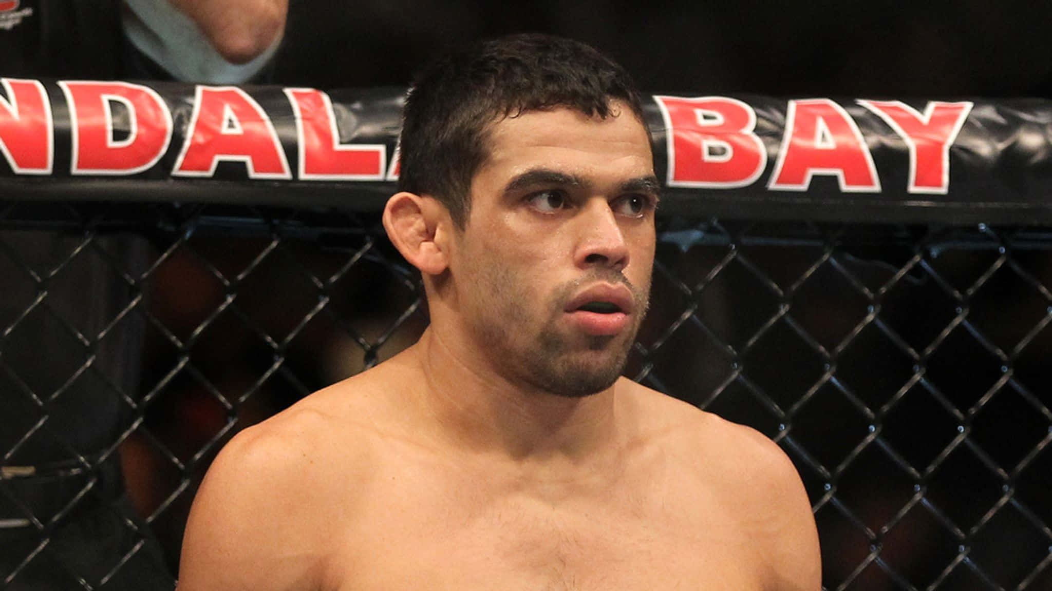 UFC 桌布 壁紙 — 一位專注的綜合格鬥選手在籠內凝視，身後圍欄上可見「MANDALAY BAY」字樣。