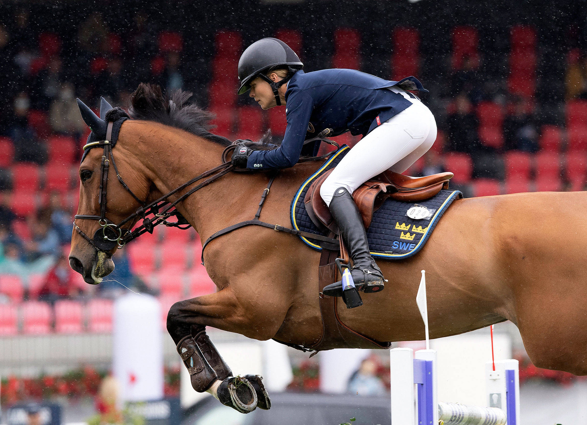 Athletic 桌布 壁紙 — 一位專注的騎手身穿海軍藍和白色，引導一匹栗色馬在雨中天空下跳過馬術障礙賽的障礙物。