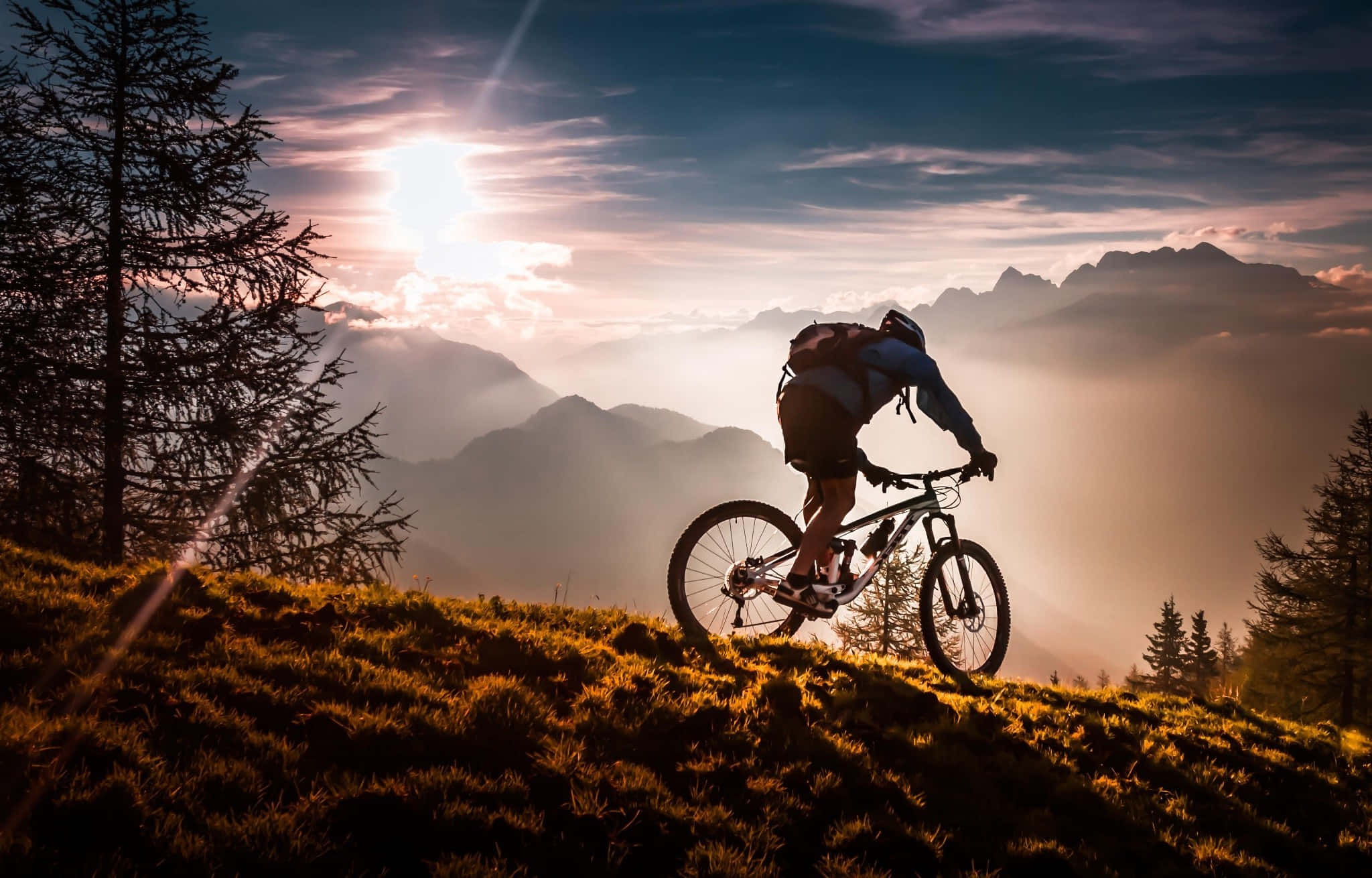 Bicycle 桌布 壁紙 — 一位山地車手在草嶺上以燦爛的日出為背景形成剪影，背景有霧氣繚繞的山峰和松樹。