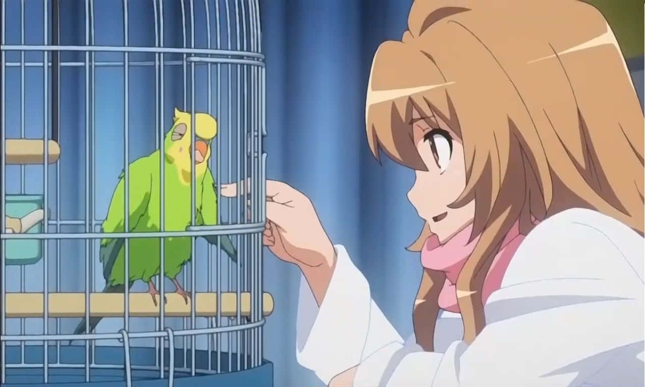 Toradora Inko 桌布 壁紙 — 一位年輕動漫女孩輕輕觸摸一隻綠色鸚鵡，牠棲息在一個金屬籠子裡，背景是藍色窗簾。