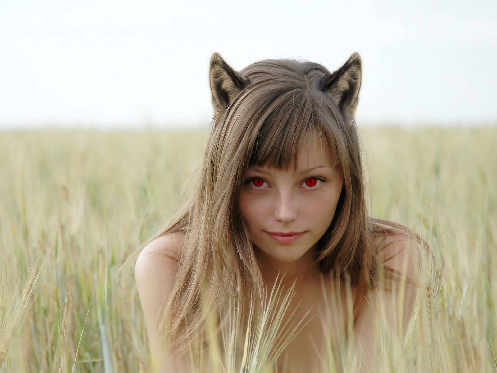 Wolf Girl 桌布 壁紙 — 一位年輕女子，長著狐狸耳朵和發光的紅色眼睛，在柔和日光下從金色麥田裡探出頭來。