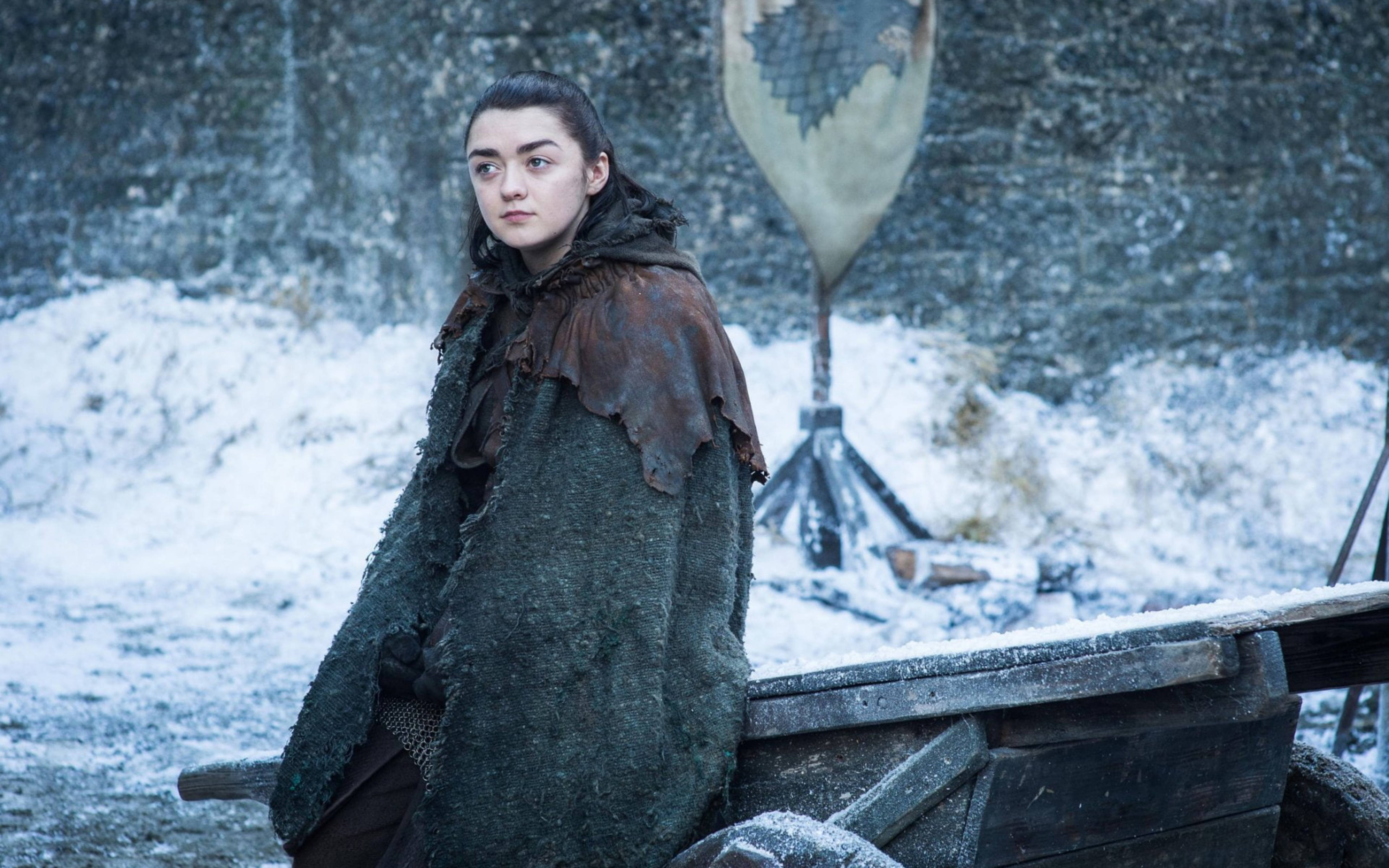 House Stark 桌布 壁紙 — 一位年輕女子穿著堅固的毛皮襯裡斗篷，莊嚴地站在一輛覆蓋著雪的馬車旁，背景是冰凍的岩石景觀。