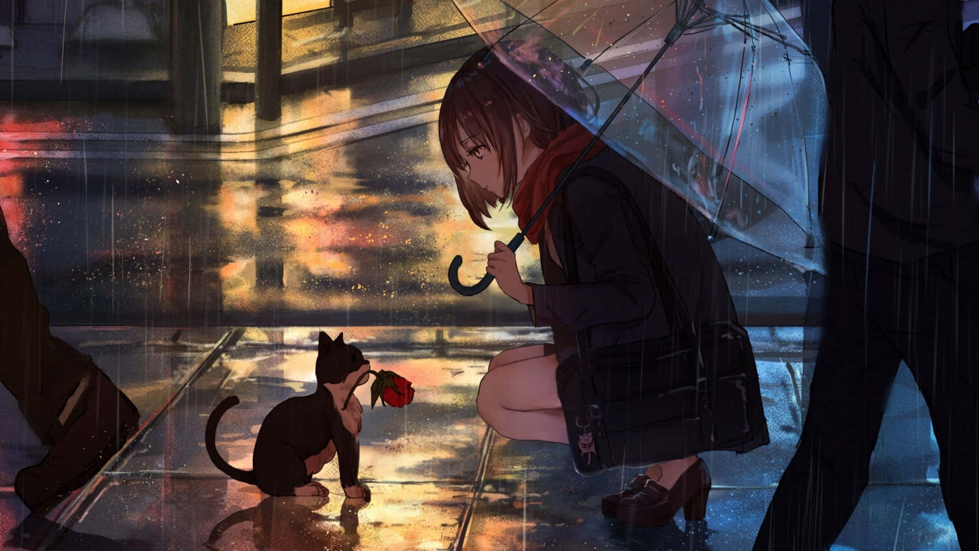 Rain Anime 桌布 壁紙 — 一位年輕女子跪在雨中撐著傘，一隻小貓在濕漉漉的城市街道上向她獻上一朵紅玫瑰。