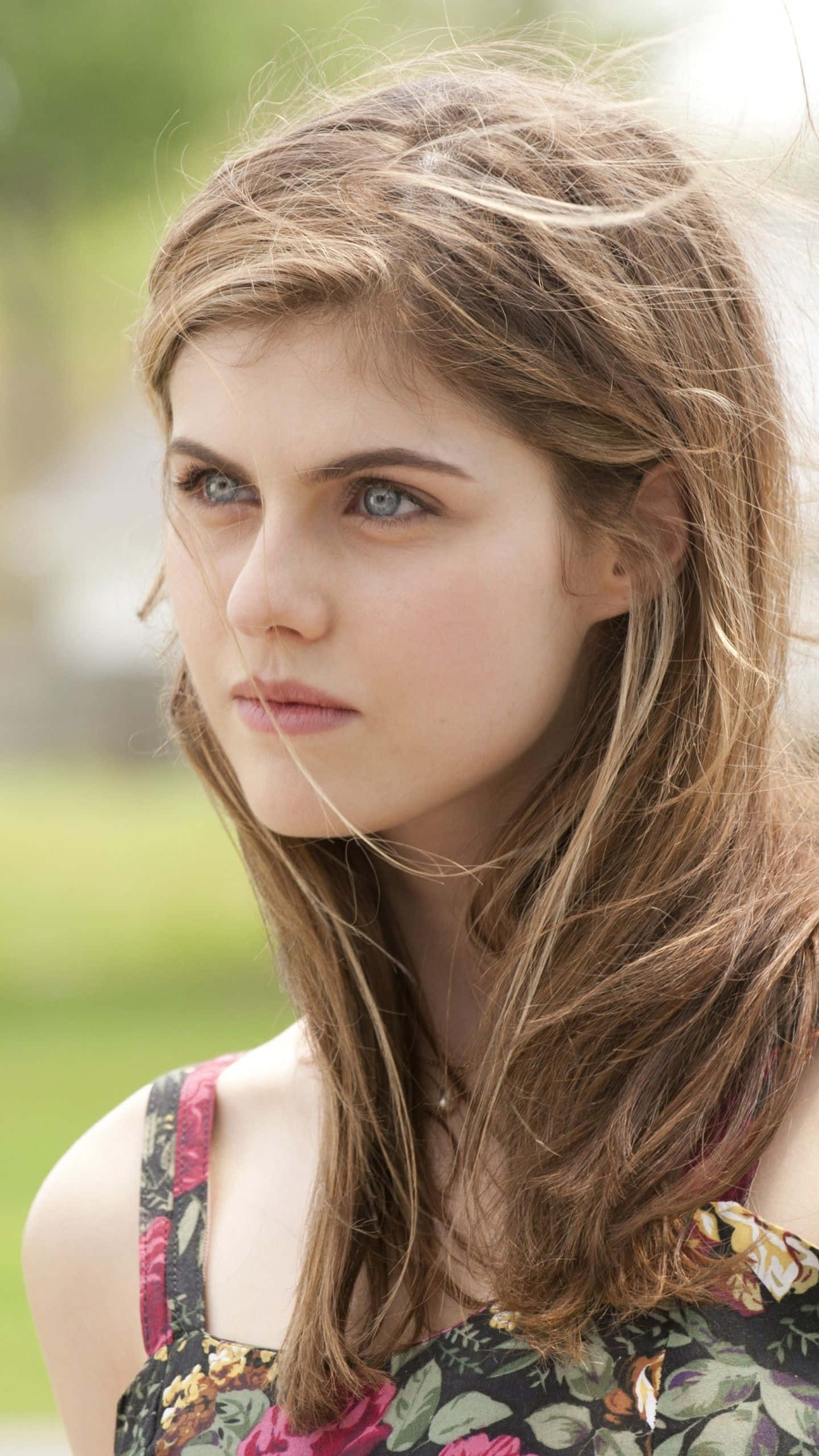 Alexandra Daddario 桌布 壁紙 — 一位年輕女性，擁有引人注目的藍色眼睛和隨風飄揚的棕色頭髮，在柔和的自然光線下若有所思地凝視戶外。