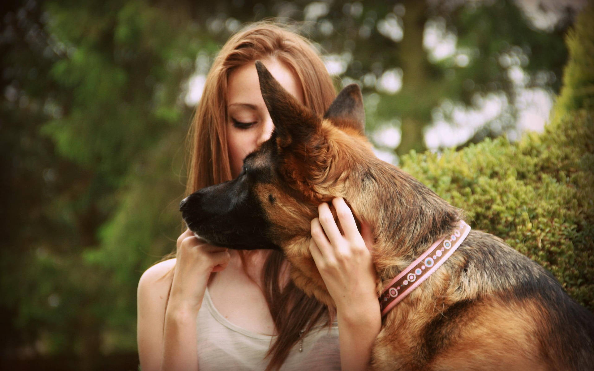 女性在花園中溫柔地抱著德國牧羊犬 — 寵物動圖 壁紙