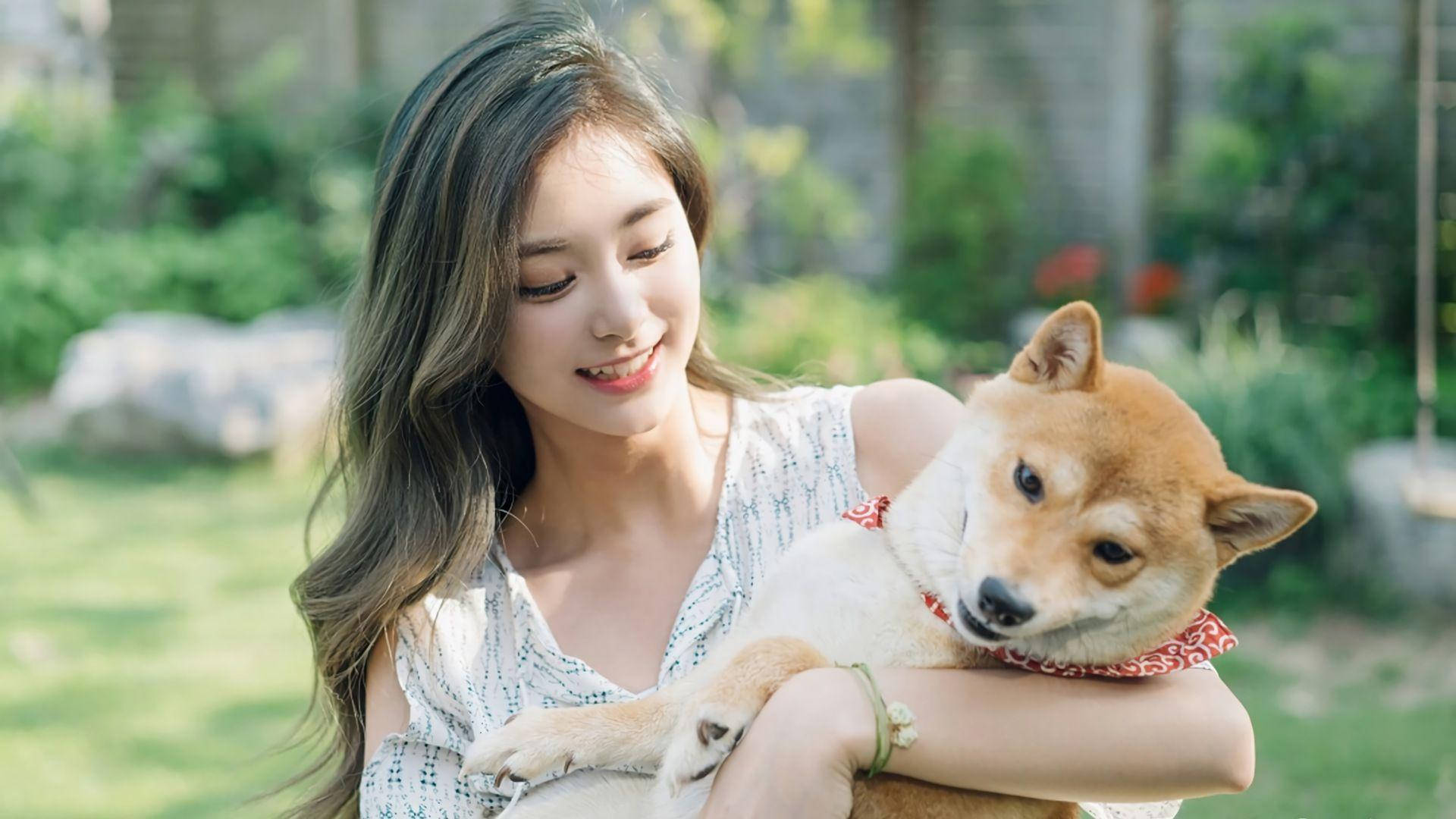 子瑜 桌布 壁紙 — 一位年輕女性在陽光普照的花園中，懷抱著一隻柴犬，露出溫暖的笑容，周圍是柔和的綠色樹葉。
