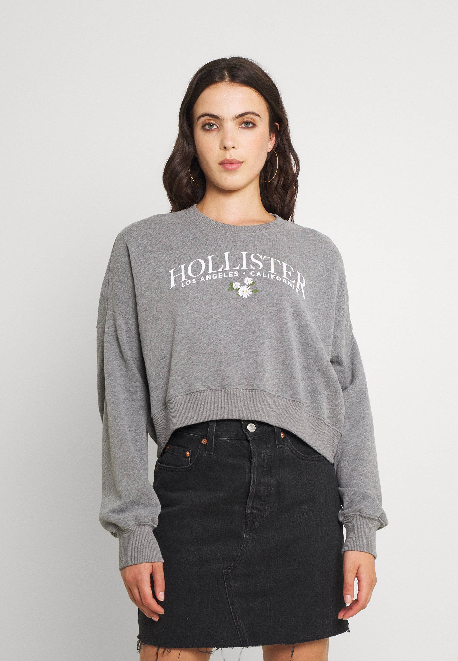 Hollister 桌布 壁紙 — 一位年輕女性穿著灰色Hollister運動衫和黑色牛仔裙，在白色背景前擺姿勢。