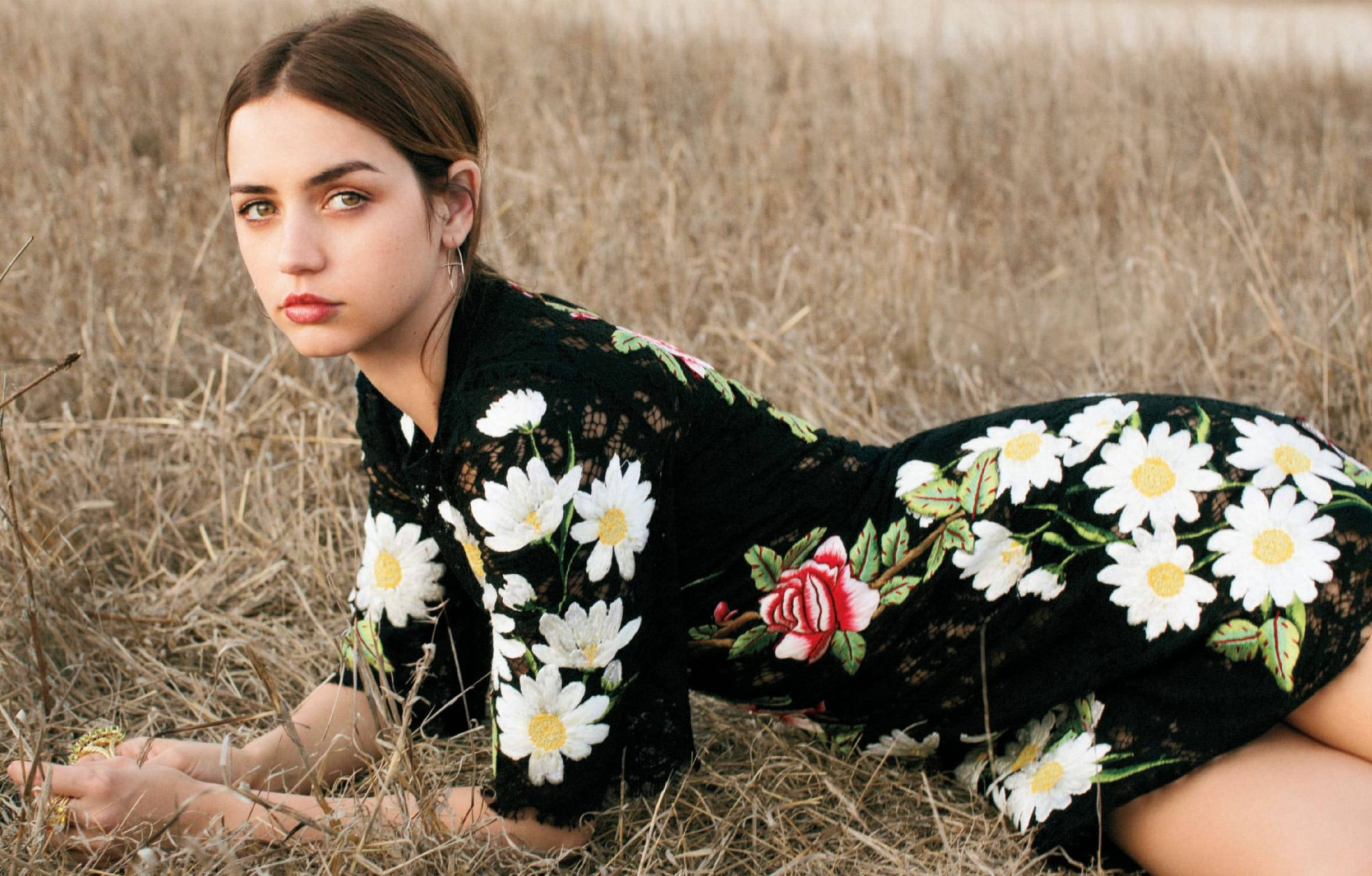 ana de armas 桌布 壁紙 — 一位年輕女性身穿黑色蕾絲裙，飾有白色雛菊和紅玫瑰，躺在乾燥的金色草地上。