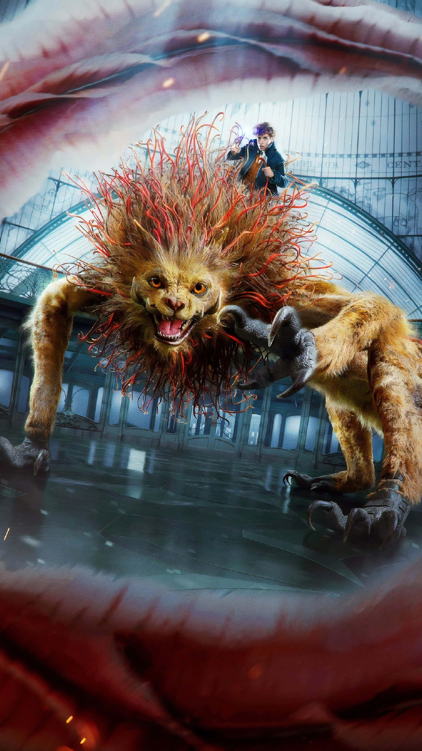 Fantastic Beasts 桌布 壁紙 — 一位年輕巫師騎著一隻長著火紅尖刺的巨型獅子狀生物，穿過宏偉的玻璃穹頂車站。