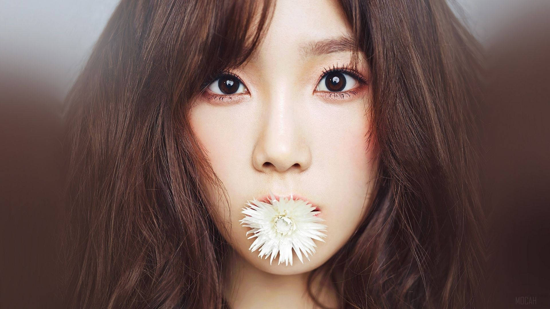 태연 桌布 壁紙 — 一位年輕棕髮女性的特寫肖像，她嘴唇間夾著一朵白色花朵，背景柔和模糊。
