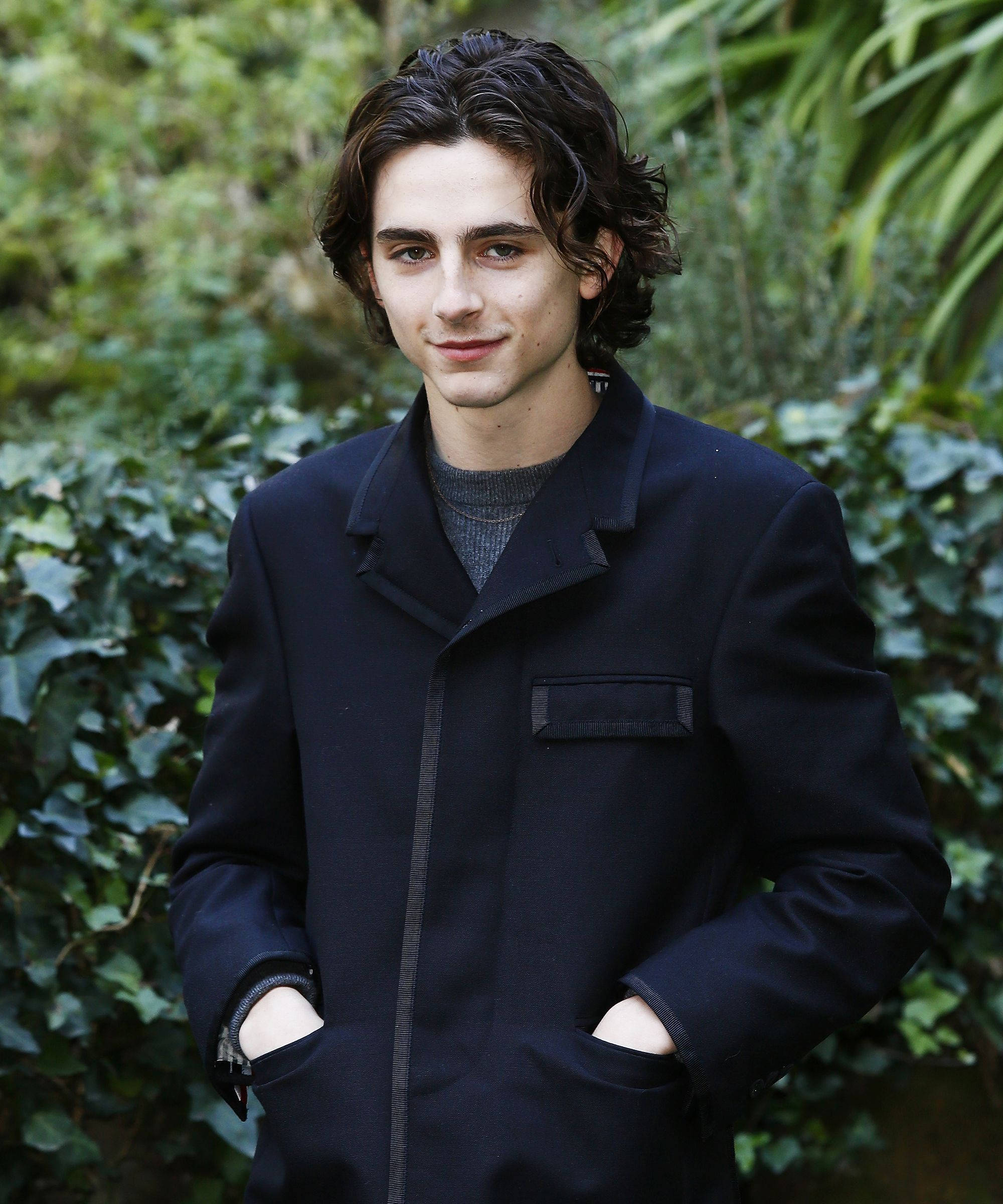 Timothée Chalamet 桌布 壁紙 — 一位年輕男子留著波浪形深色頭髮，自信地穿著深色外套，背景是茂密的綠色常春藤。