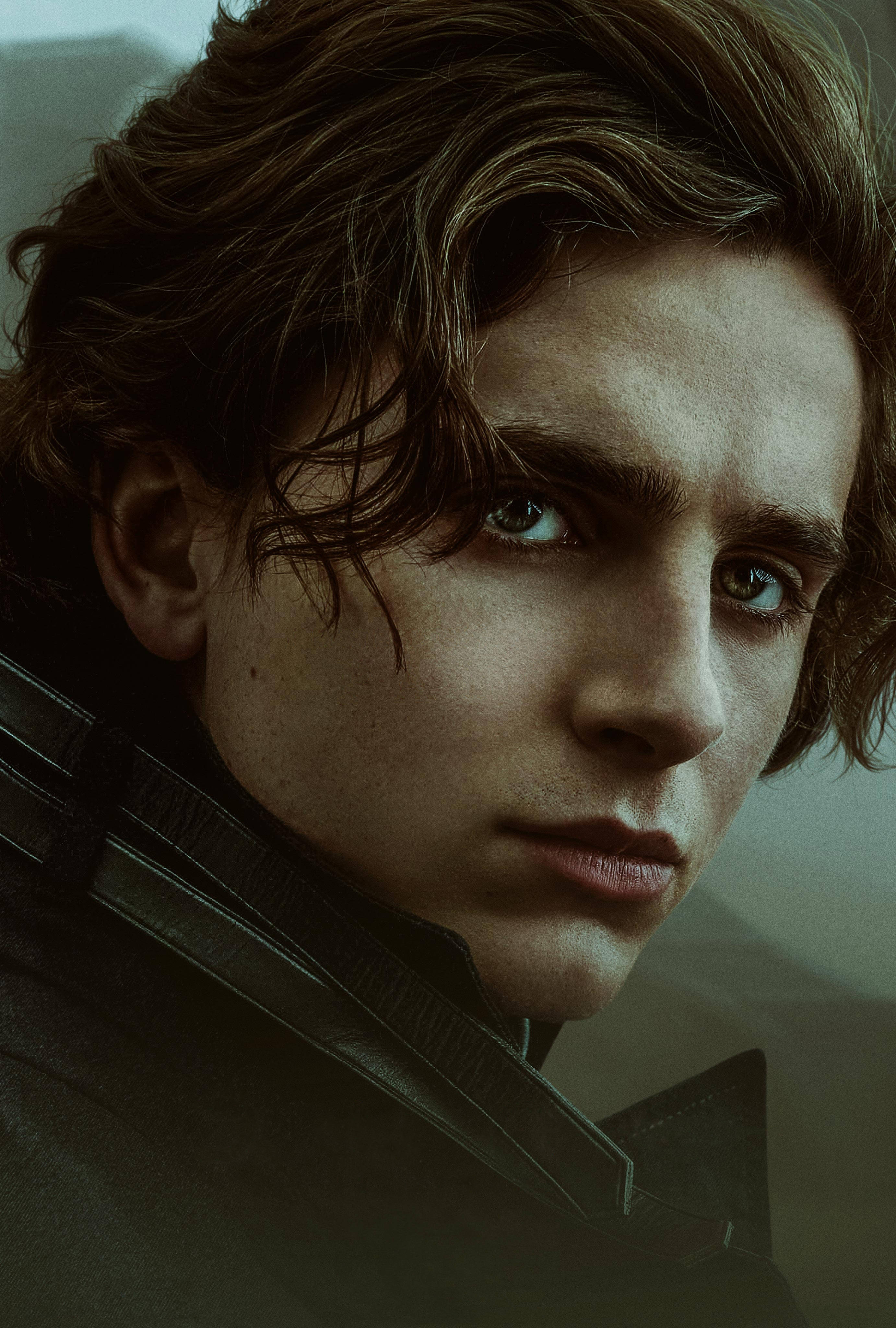 Timothée Chalamet 桌布 壁紙 — 一位年輕男子的特寫肖像，他有波浪狀的棕色頭髮和強烈的綠色眼睛，直視觀看者。