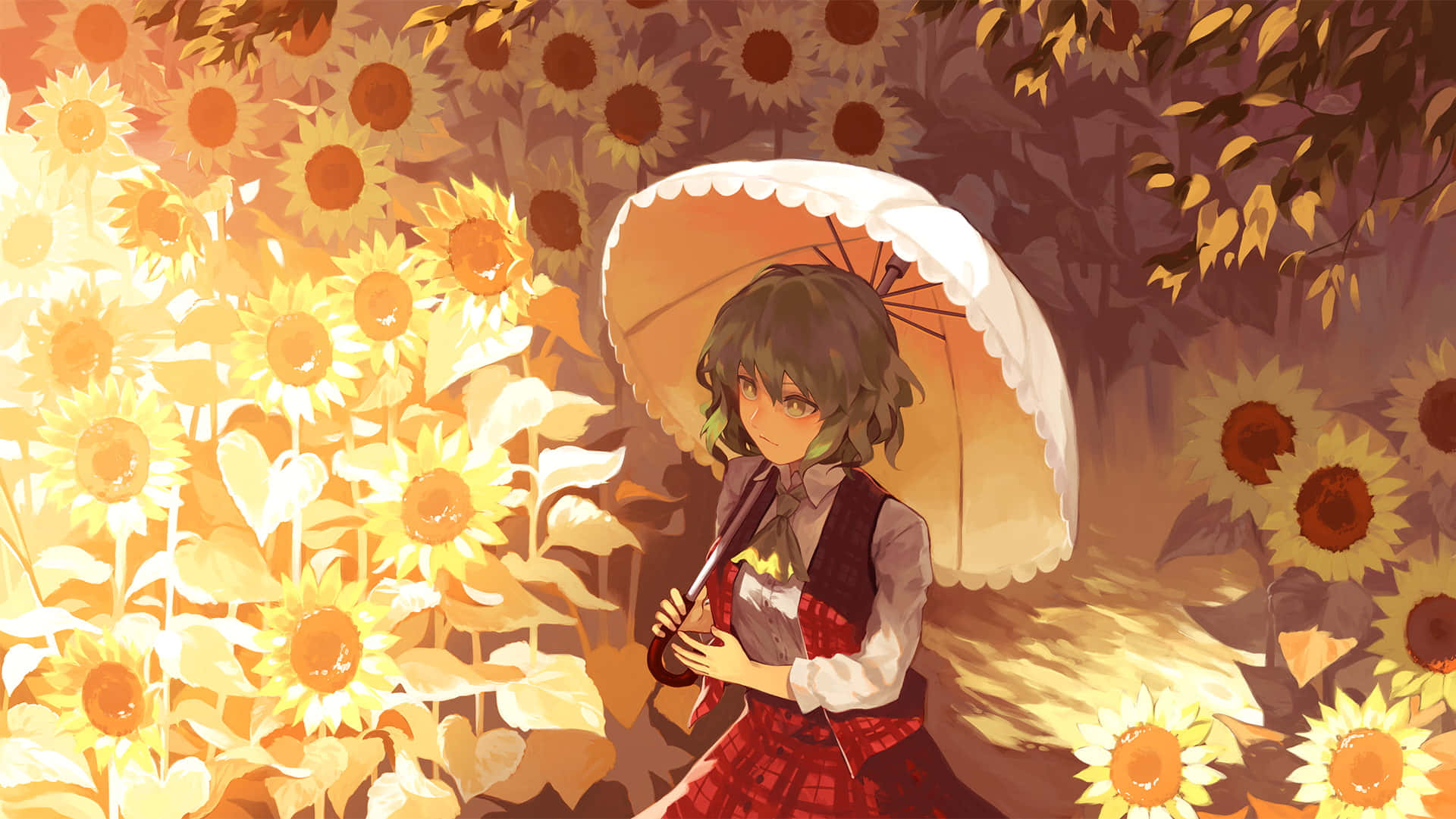 Sunflowers 桌布 壁紙 — 一位年輕的動漫女孩，深色頭髮，在溫暖的秋光下，在一片發光的向日葵田中央撐著一把白色陽傘。