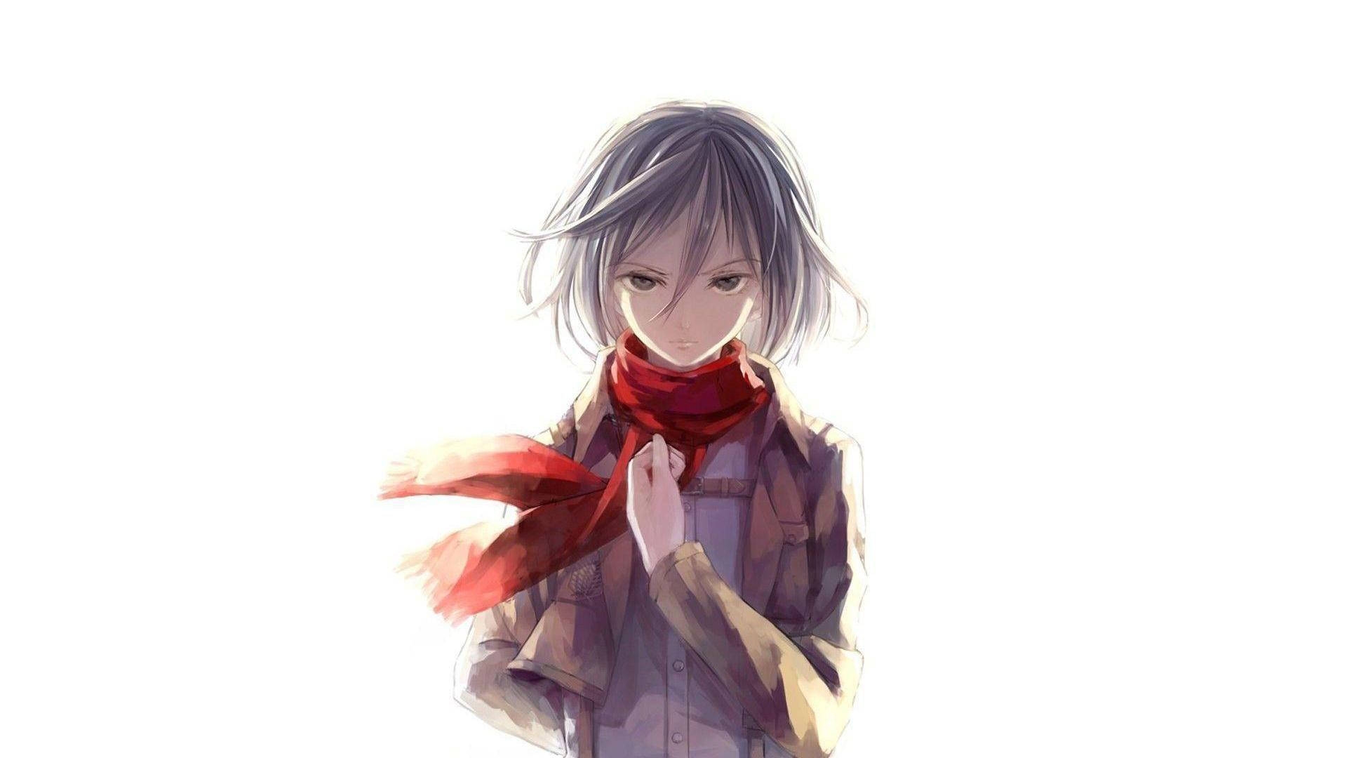 Mikasa 桌布 壁紙 — 一位年輕的動漫女孩，灰色頭髮和紅色圍巾，在純白背景下溫柔地凝視。