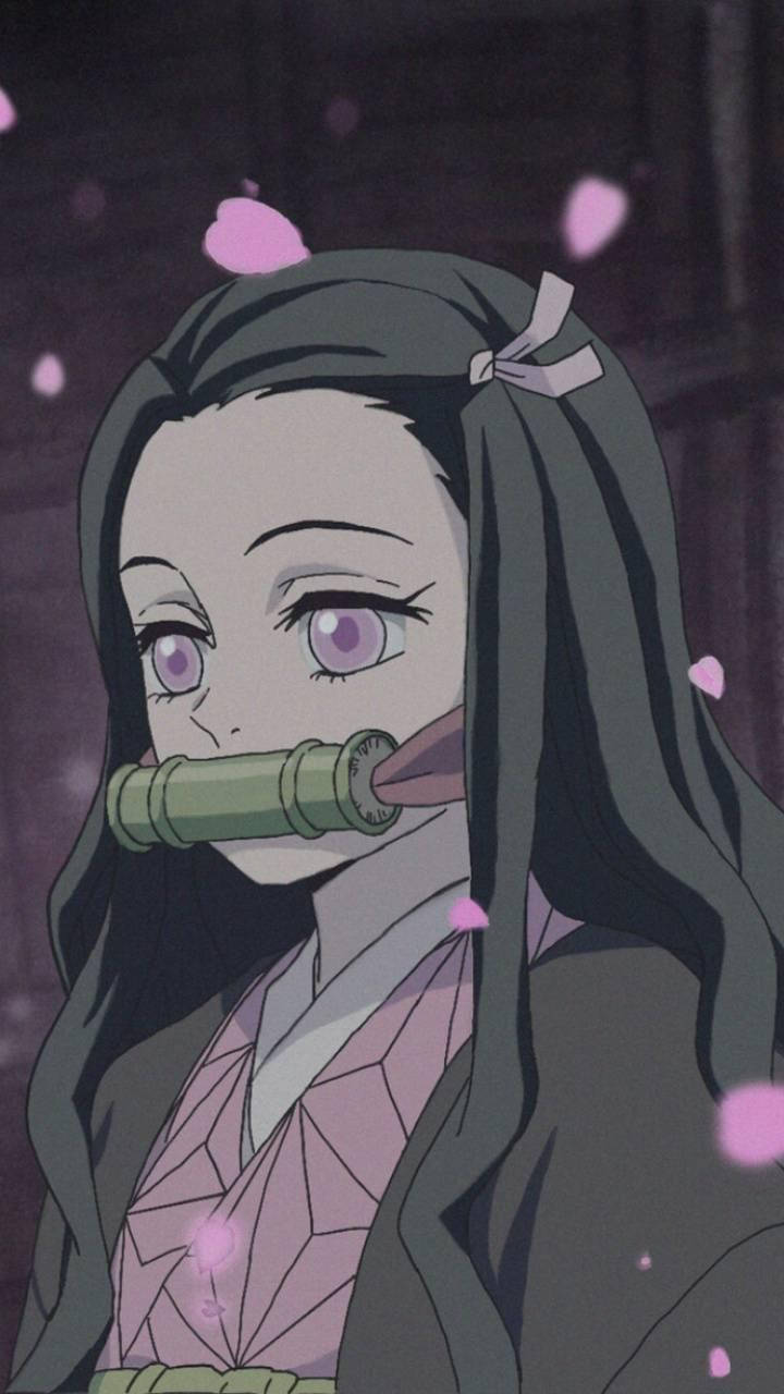 Nezuko iPhone 桌布 壁紙 — 一位年輕的動漫女孩，長著深色長髮和紫色眼睛，戴著竹製口塞，粉紅色的櫻花在昏暗的場景中飄落在她周圍。