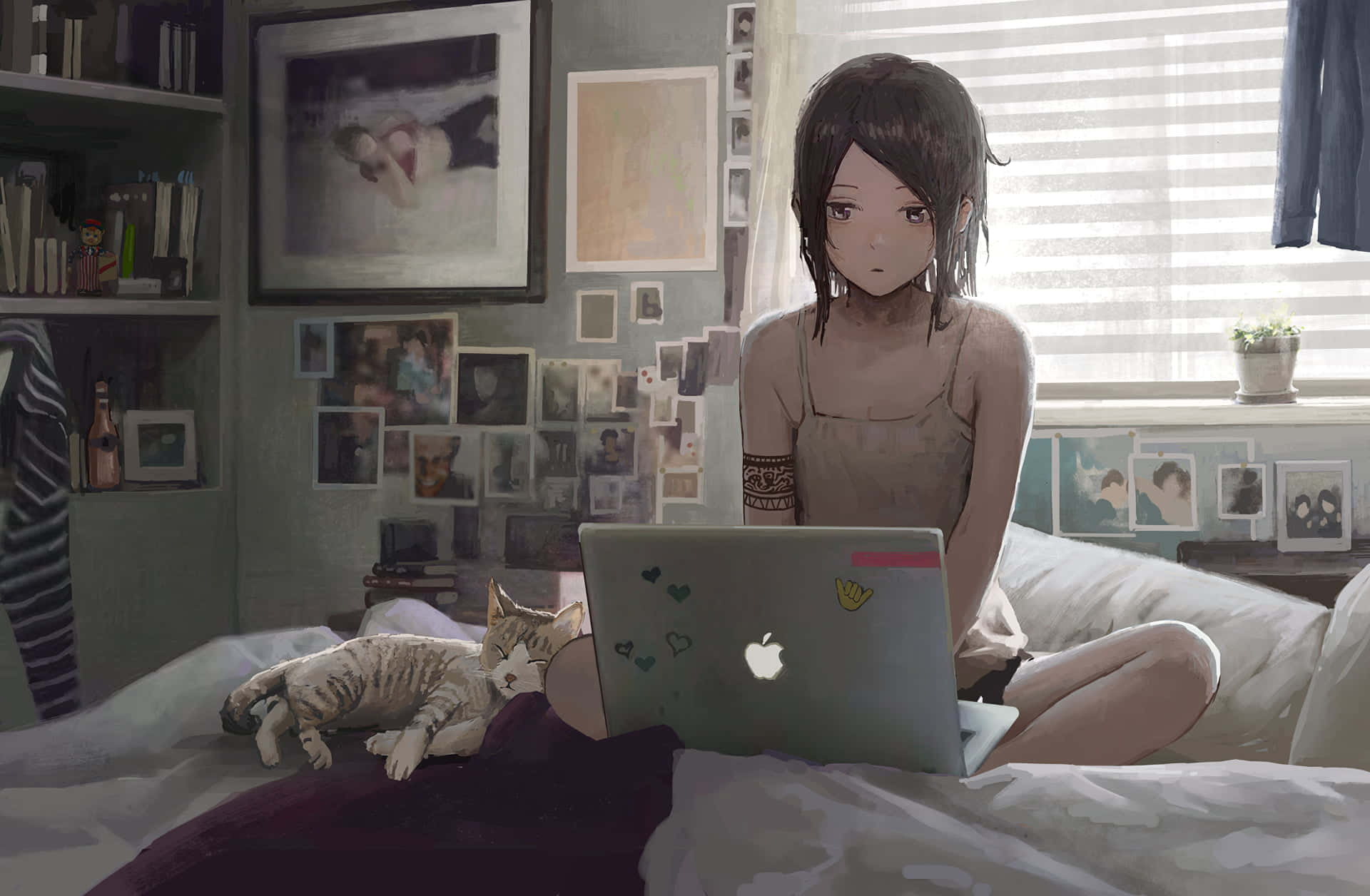 Home Entertainment 桌布 壁紙 — 一位年輕的動漫女孩坐在床上，旁邊有一隻貓，在一個充滿照片和書籍的舒適房間裡使用筆記型電腦。