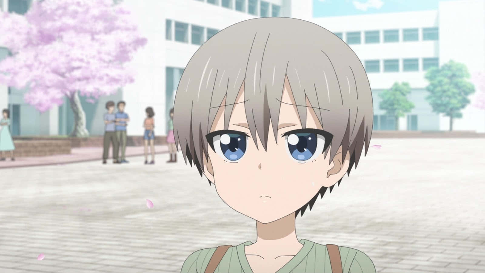 Uzaki Chan 桌布 壁紙 — 一位年輕的動畫女孩，灰髮藍眼，站在庭院中，粉紅色的櫻花飄落在她周圍。
