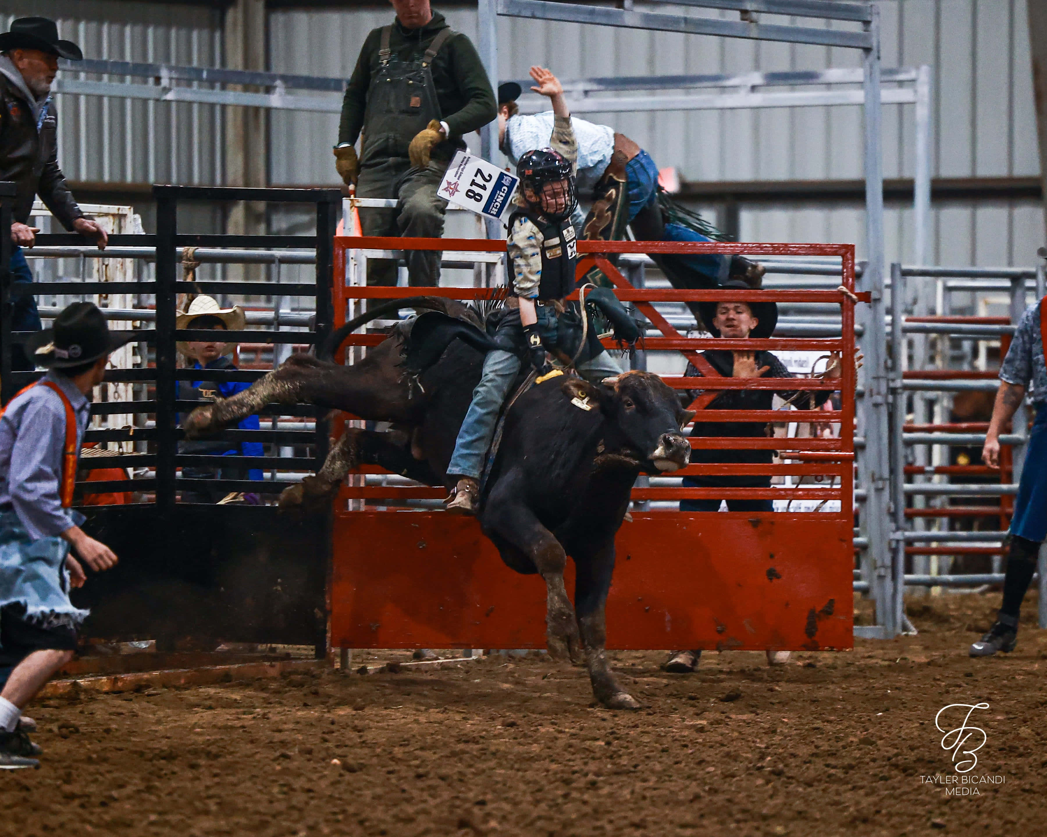 Bull Riding 桌布 壁紙 — 一位年輕的鬥牛騎士緊緊抓住一頭從紅色圍欄中躍出的黑色公牛，在塵土飛揚的牛仔競技場中。