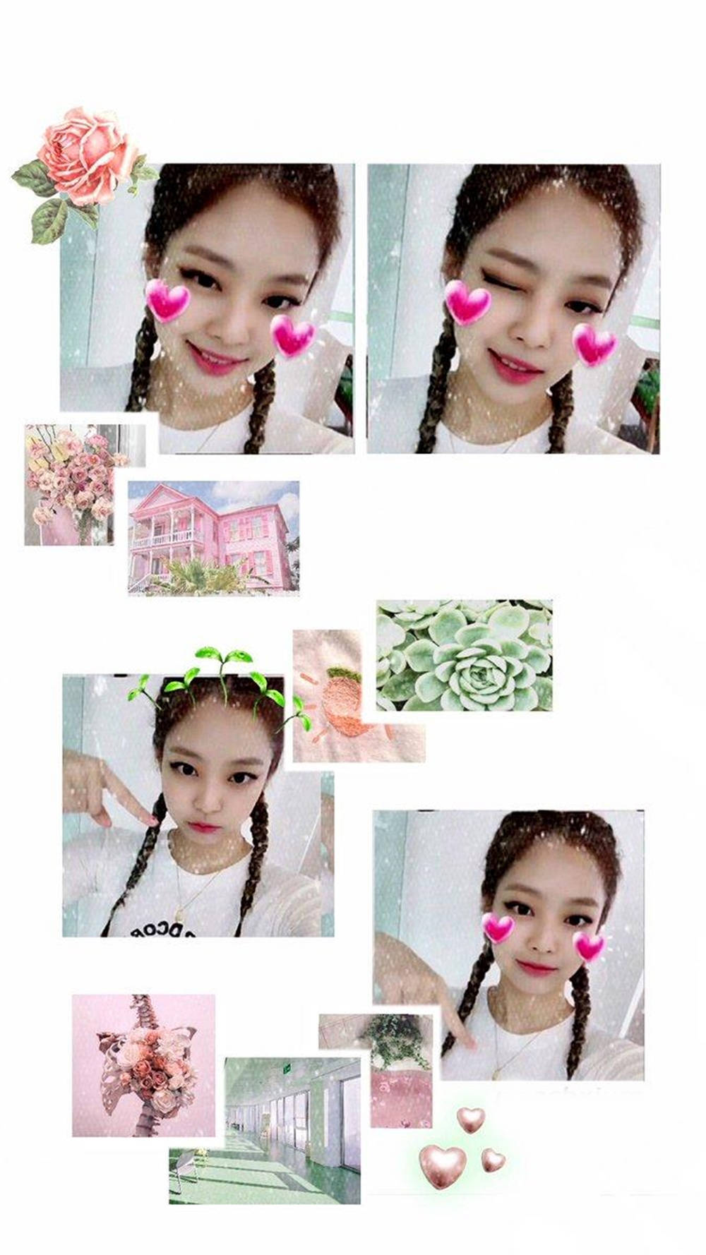 BLACKPINK 桌布 壁紙 — 一位年輕辮子女士微笑的拼貼畫，帶有粉紅色心形濾鏡，旁邊是粉紅色建築物、多肉植物和花卉照片。