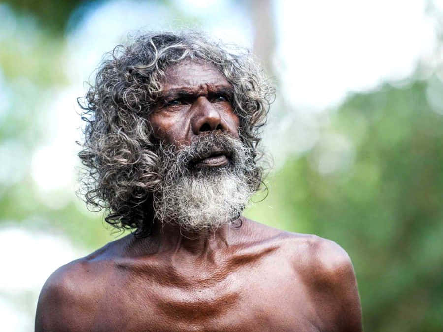 Aboriginal 桌布 壁紙 — 一位年長原住民男子的特寫肖像，皮膚飽經風霜，留著濃密的灰色鬍鬚，在柔和的綠色模糊背景下向上凝視。