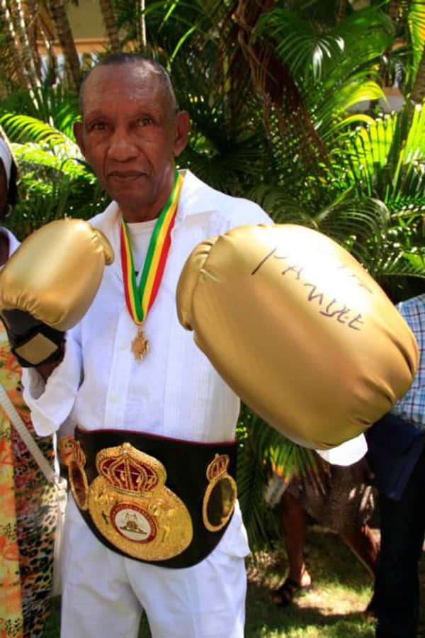 Boxing 桌布 壁紙 — 一位年長拳擊手戴著金色手套和冠軍腰帶，自豪地站在戶外，身後是茂密的綠色樹葉。