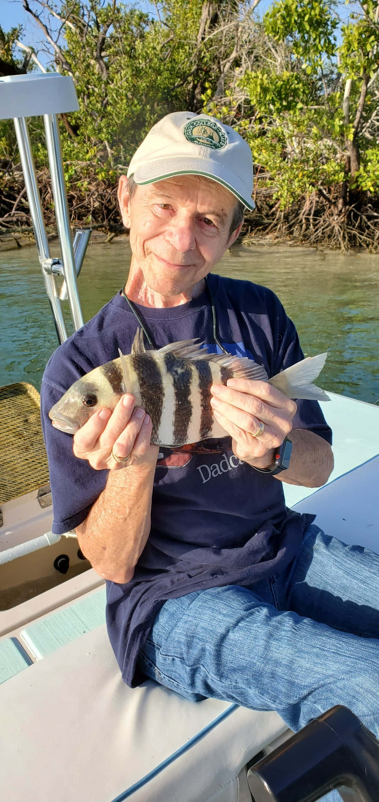 Sheepshead Fish 桌布 壁紙 — 一位年長男子自豪地微笑，手持一條在紅樹林水道中釣到的條紋魚，坐在船上。