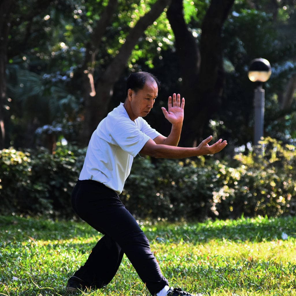 Exercise 桌布 壁紙 — 一位年長男性在陽光明媚的公園中練習武術，周圍有茂密的綠樹和草地。