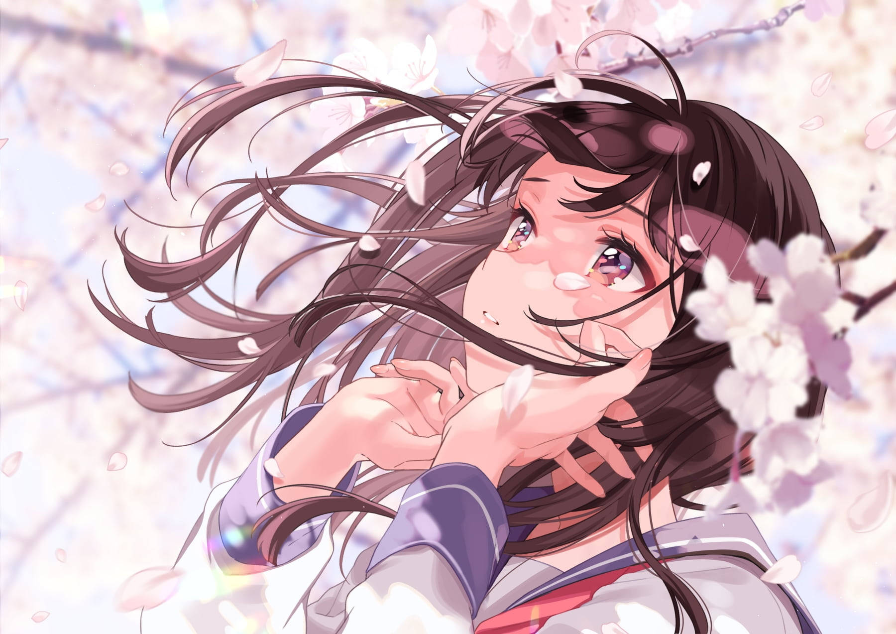 aesthetic sad anime girl 桌布 壁紙 — 一位微笑的動漫女孩，長著深色長髮和紫色眼睛，站在飄落的櫻花下，背景是柔和的粉彩春天場景。